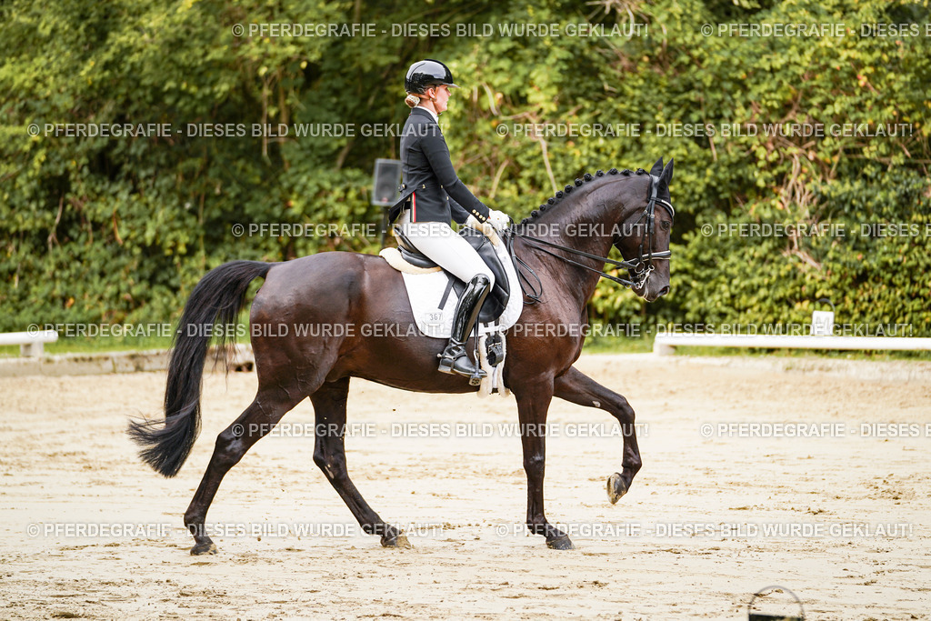 DSC02279 | Pferdegrafie