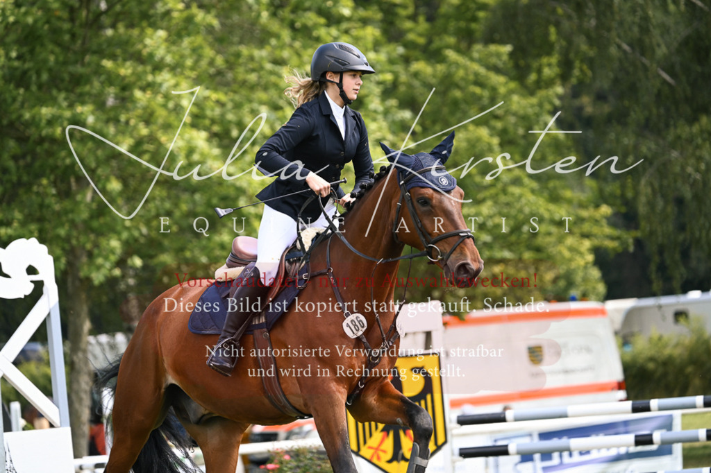 DSC_9034 | Pferde- und Turnierfotografie in Westsachsen. Pferdeportraits, Auftragszeichnungen und intuitive Kunst.