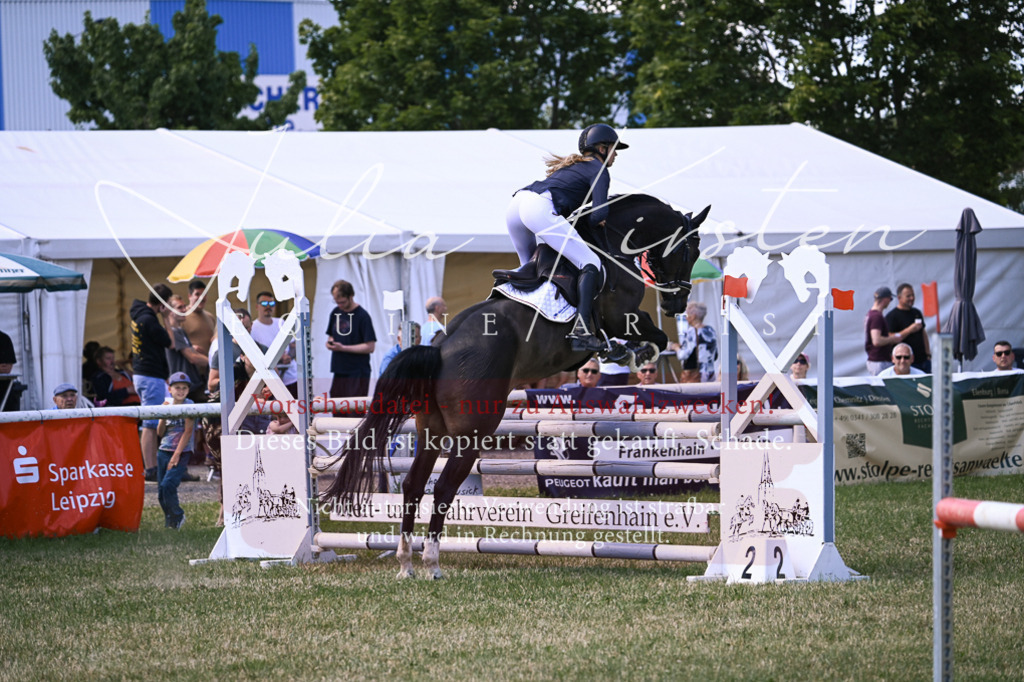 DSC_0290 | Pferde- und Turnierfotografie in Westsachsen. Pferdeportraits, Auftragszeichnungen und intuitive Kunst.