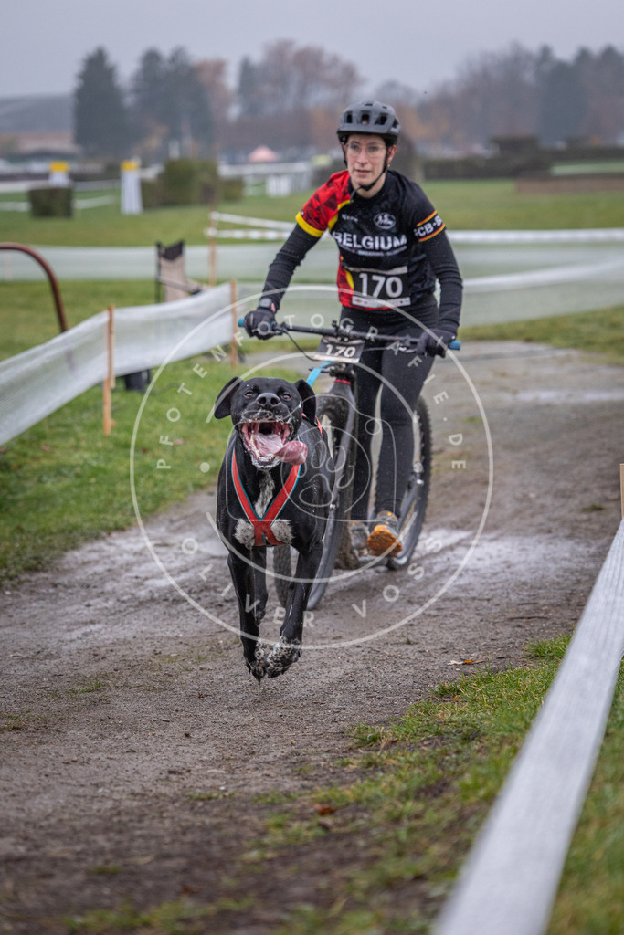 CaniXpix_0L8A0701 | Hundefotografie, Tierfotograf, Pfotenfotografie, Fotoshooting Hund, Hunde Portrait, Hundesport, Hundeportraits, Heideshooting, Hunde, Sportfotograf, Hundefotograf, Turnierhundsport, THS,  - Realisiert mit Pictrs.com