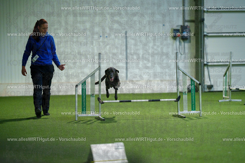 7R507042 | Professionelle Tierfotografie in Mönchengladbach von Daniel Wirth (allesWIRTHgut). Liebevolle & natürliche Bilder von Hunden & Katzen für unvergessliche Erinnerungen.