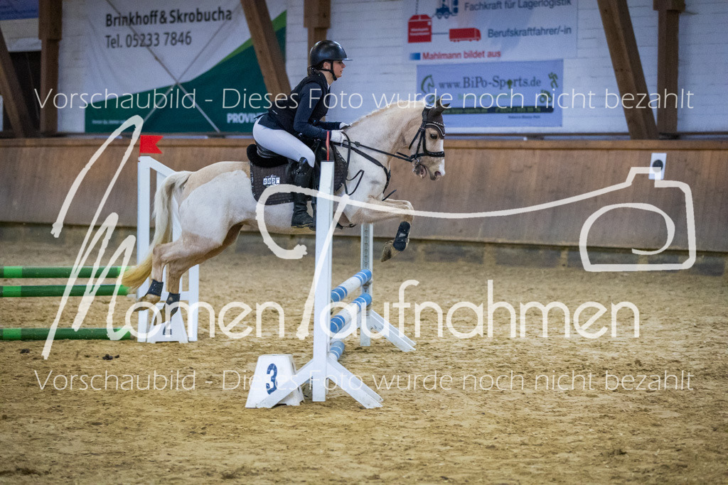 Sth-WBO25-Spr65cm-081 | MomenTaufnahmen Pferdesportfotos
