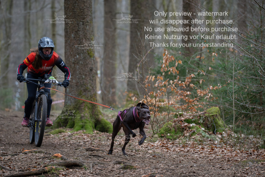 Bike_So-32 | stephaniefillaphotographie - Realisiert mit Pictrs.com