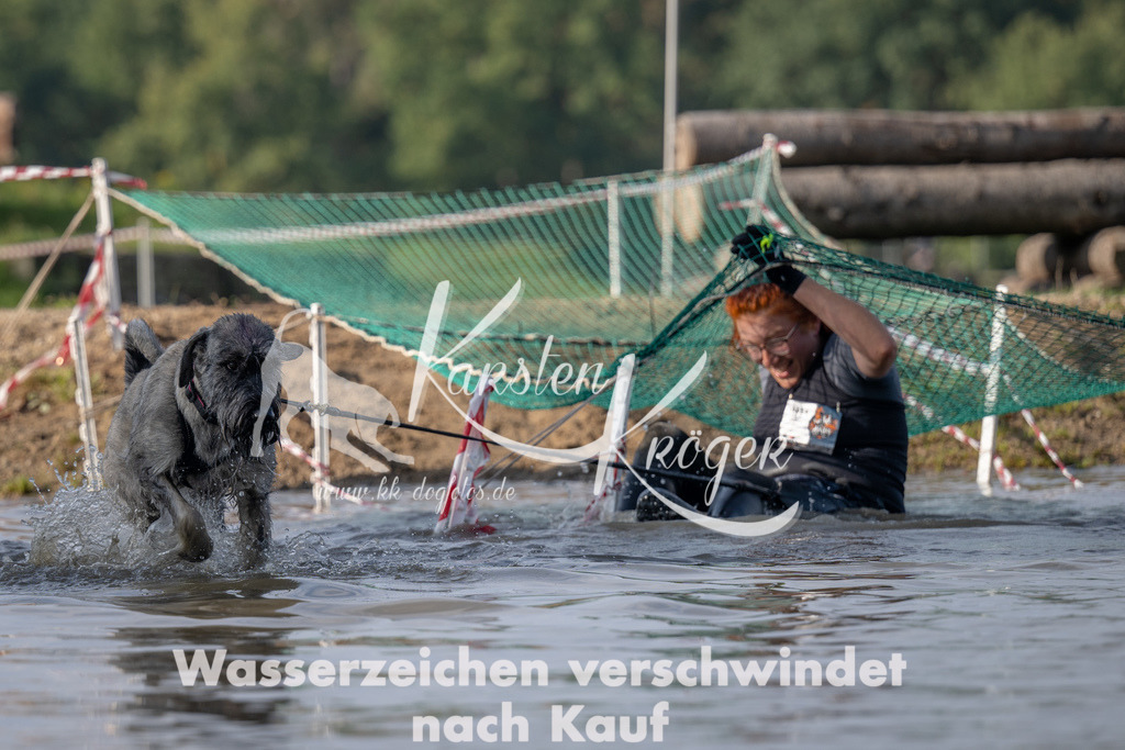 1033_ZZ93947 | kk-dogfotos