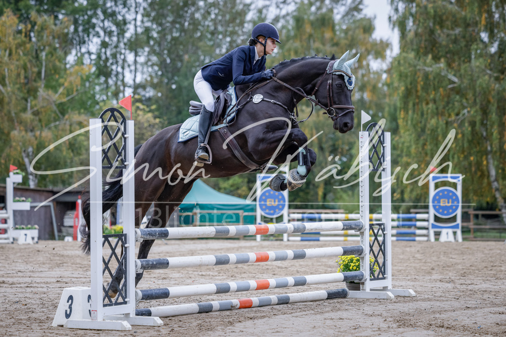 20251012-_3LI3280 | Tierfotografie Pferde, Hunde, Katzen, Haustiere.
Turnierfotografie Reitturniere, Reiten, Springreiten, Dressur in Hanau, dem Main-Kinzig-Kreis und dem Rhein-Main- Gebiet um Frankfurt