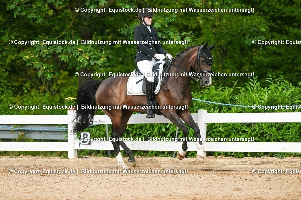 20230716_01_Dressurprüfung Kl.M_0522 | equistock