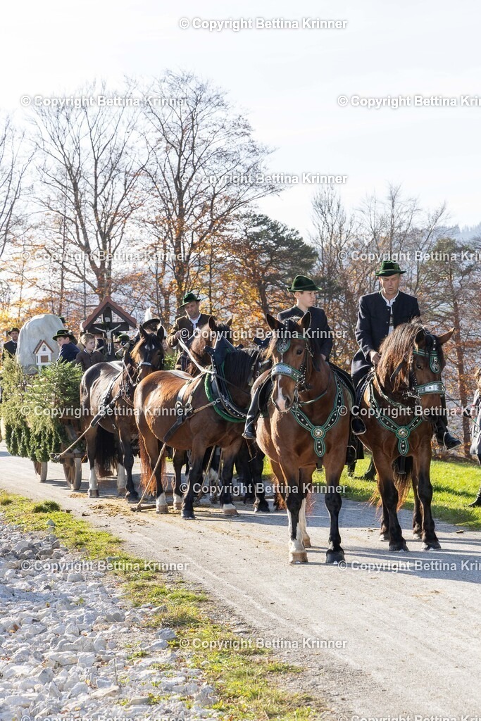 LBT24-1485 | foto-bettina-krinner - Realisiert mit Pictrs.com