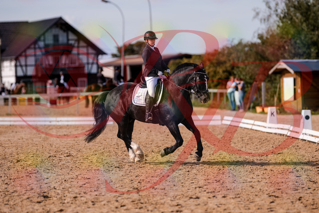 2026_10_03_Siefer-Hof_131850_Z81_66828823 | Professionelle Reitsport-, Turnier- und Eventfotografie von Robert Broda. Galerien mit ausgewählten und bearbeiteten Bildern direkt online ansehen und bestellen.