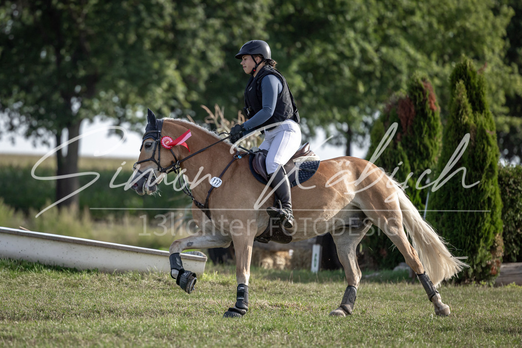 20250907-_3LI9080 | Tierfotografie Pferde, Hunde, Katzen, Haustiere.
Turnierfotografie Reitturniere, Reiten, Springreiten, Dressur in Hanau, dem Main-Kinzig-Kreis und dem Rhein-Main- Gebiet um Frankfurt