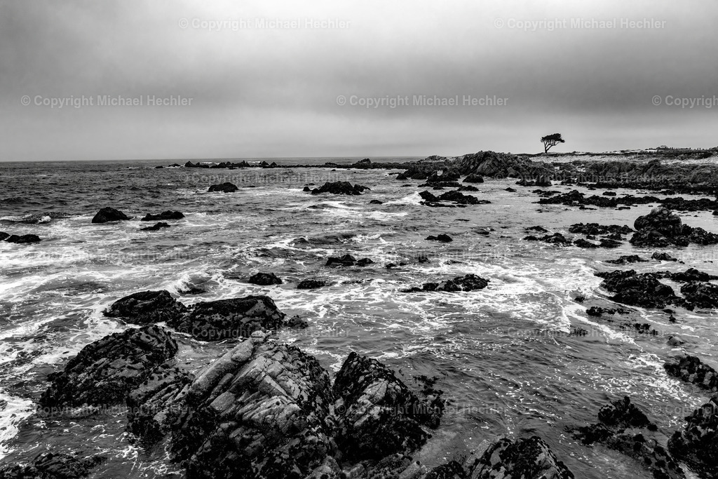 Lone Tree | Black and White Photography by Michael Hechler - Realisiert mit Pictrs.com