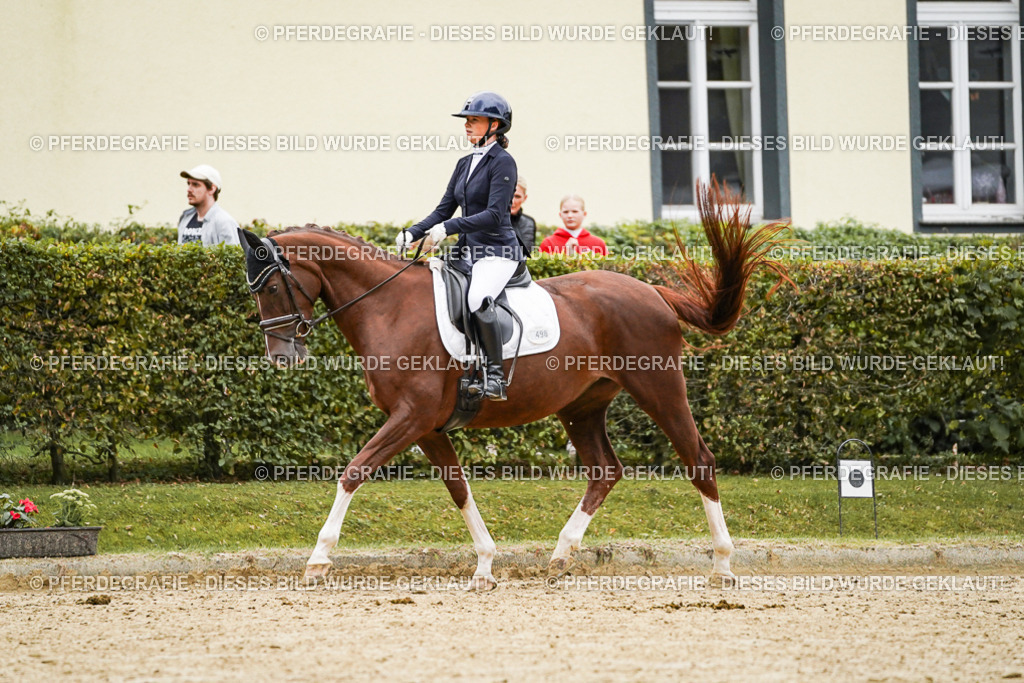 DSC06897 | Pferdegrafie