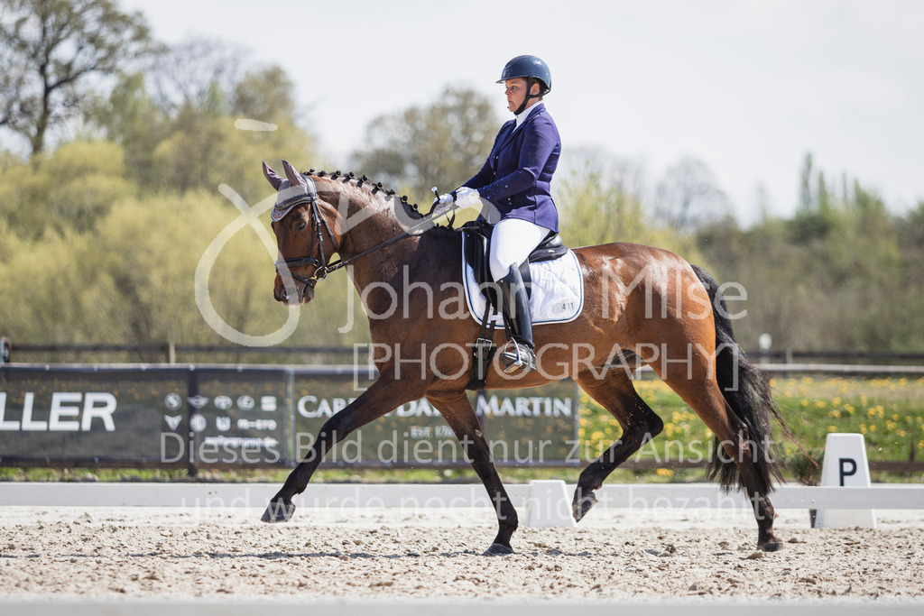 250416_Dressurpferde-L-237 | Deine schönsten Turniermomente als professionelle Fotos! Entdecke hochwertige Pferdesport-Fotografie im Online-Shop. Jetzt Fotos finden & bestellen!