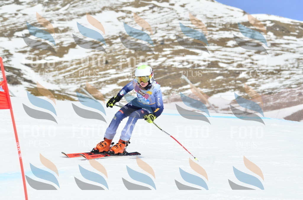 _ELE2184 | holidayphoto