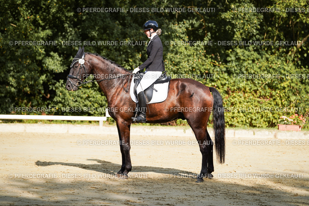 DSC08236 | Pferdegrafie