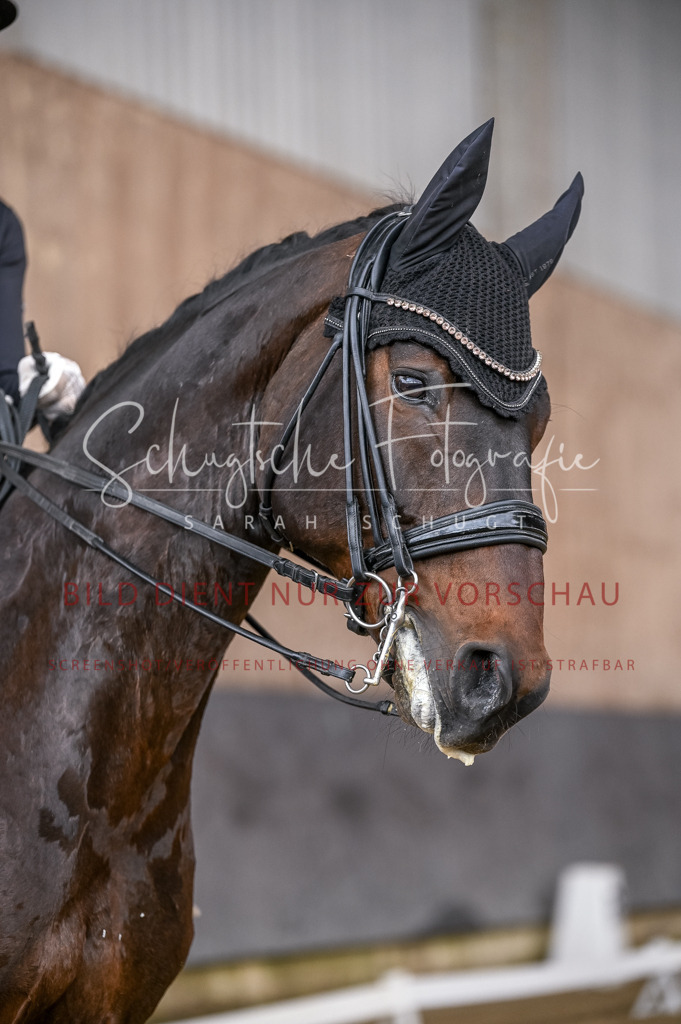 Schugtsche-Aluta25-57.Dressurprf.M1Kand-221 | Schugtsche Fotografie - Realisiert mit Pictrs.com