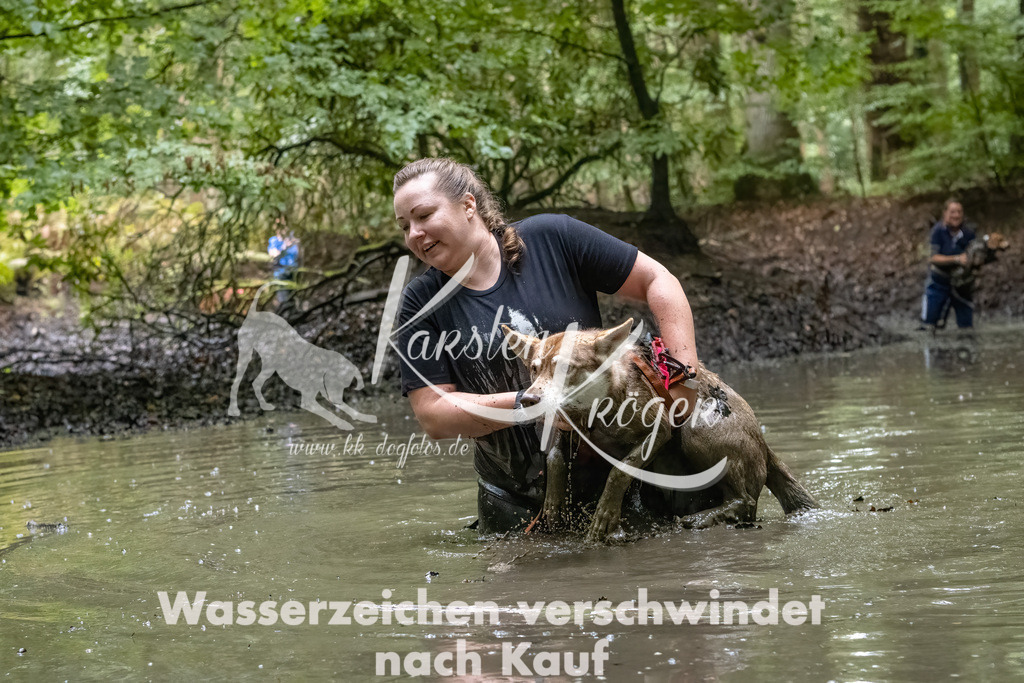 1119_ZZ90579-Bearbeitet-2 | kk-dogfotos