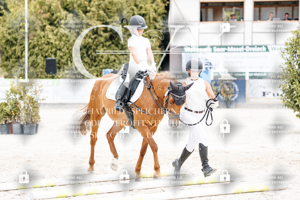 CK907119 | Turnierfotografie Pferdefotografie Trier Rheinland-Pfalz Pferdesport Reitsport Tierfotografie Sportfotografie Pferdevideo Pferdevideografie Equestrianvideography equestrianphotography  - Realisiert mit Pictrs.com