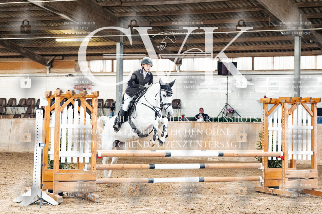 CK904601 | Turnierfotografie Pferdefotografie Trier Rheinland-Pfalz Pferdesport Reitsport Tierfotografie Sportfotografie Pferdevideo Pferdevideografie Equestrianvideography equestrianphotography  - Realized with Pictrs.com