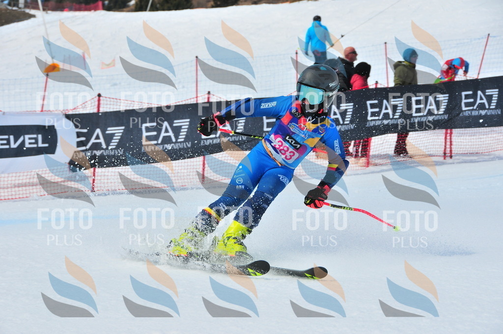 DSC_7241 | holidayphoto