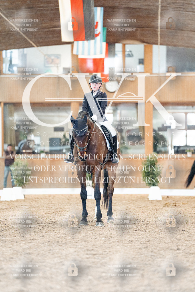CK907238 | Turnierfotografie Pferdefotografie Trier Rheinland-Pfalz Pferdesport Reitsport Tierfotografie Sportfotografie Pferdevideo Pferdevideografie Equestrianvideography equestrianphotography  - Realisiert mit Pictrs.com