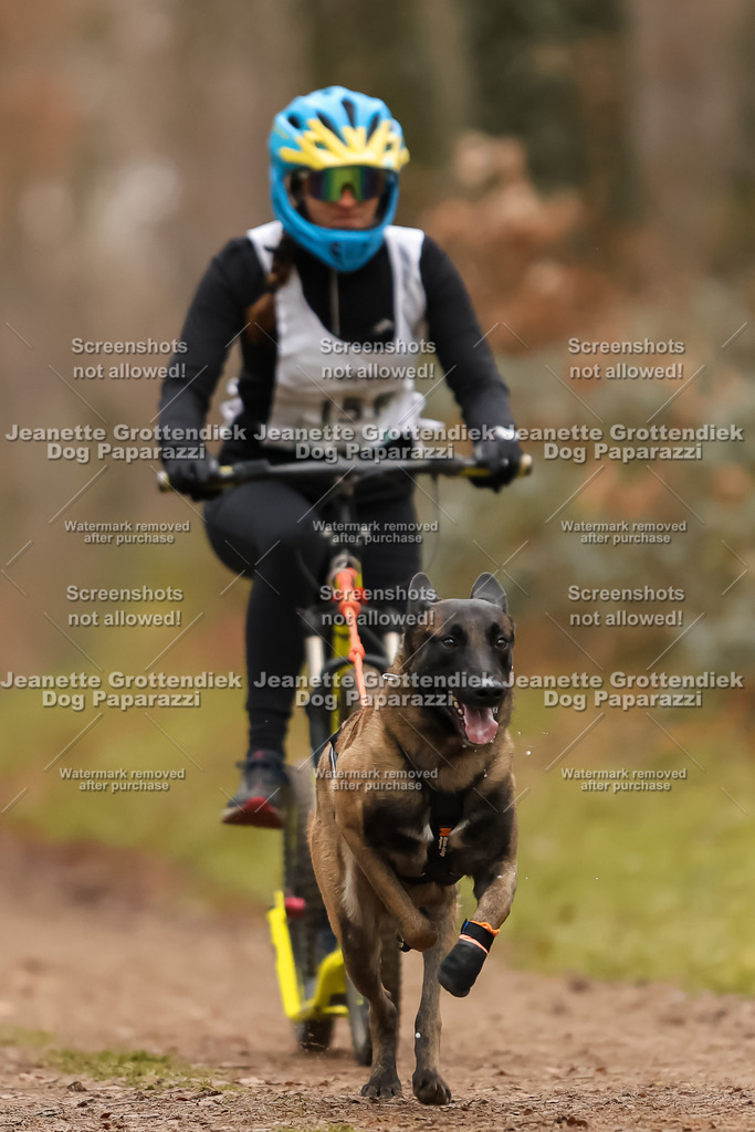 Dog Paparazzi - Speedhunter Mannheim  2025-420 | Dog Paparazzi Jeanette Grottendiek Fotografie & Videografie