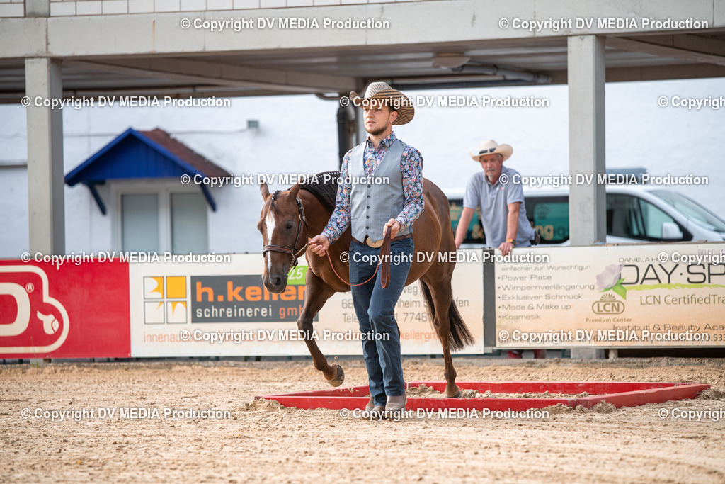 EWP_5542 | dv-media-shop - Realisiert mit Pictrs.com