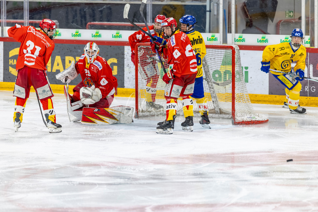 EHCB vs HCD 20262703-422480384 | Sportbilder, Sportfotograf, Hochzeits- und Eventfotografin, Flugshows, Portraits und Tiershooting, Aviation, Downhill, Nationalleague, Swissleague, International