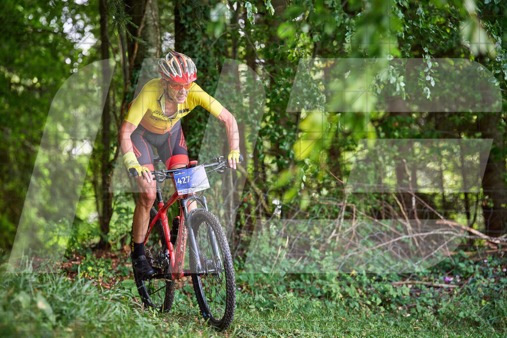Betriebszentrum Laubenbachmühle, Frankenfels, Österreich - 13. September 2025: Dirndltal Race - Fun und Trophy RaceFotograf: Martin Bihounek / martinbihounek.com | 13. September 2025 Betriebszentrum Laubenbachmühle, Frankenfels, Österreich : Dirndltal Race - Fun und Trophy Race •••••Photo by: Martin Bihounek / martinbihounek.comInsta: @martinbihounekcom