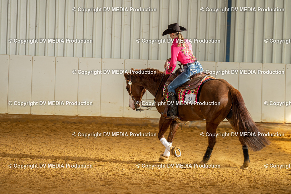 MIT00882 | dv-media-shop - Realisiert mit Pictrs.com