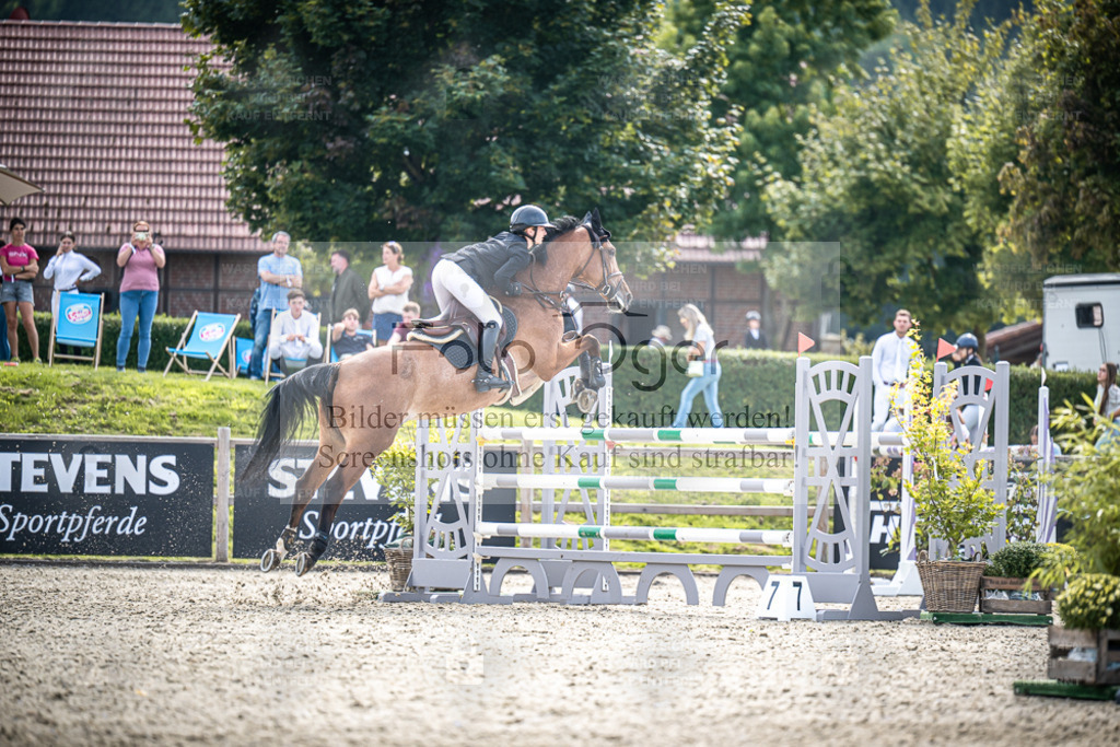 DOS_0411 | Entdecke hochwertige Reitturnierfotos von Foto Oger. Professionell, emotional und authentisch – jetzt Lieblingsmomente im Shop bestellen. - Realisiert mit Pictrs.com