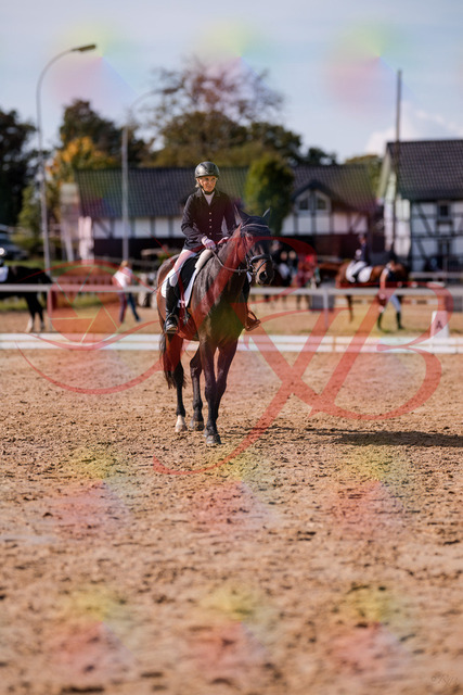 2026_10_03_Siefer-Hof_133915_Z81_99142055 | Professionelle Reitsport-, Turnier- und Eventfotografie von Robert Broda. Galerien mit ausgewählten und bearbeiteten Bildern direkt online ansehen und bestellen.