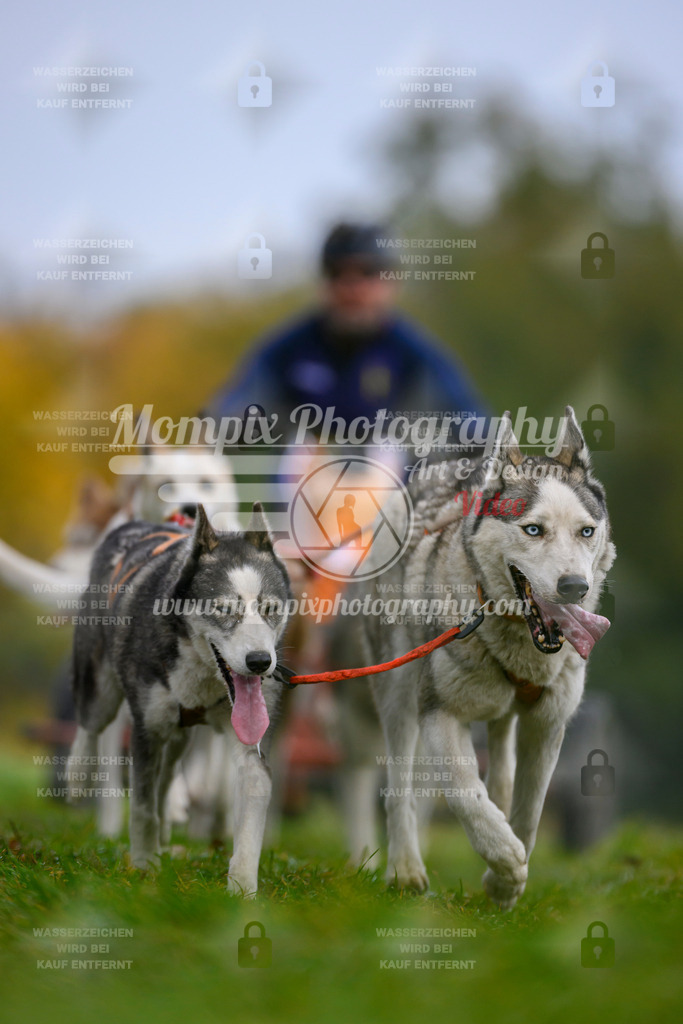 MompixPhotography_CDLBDB2025_DI_Kart-37 | PayLife