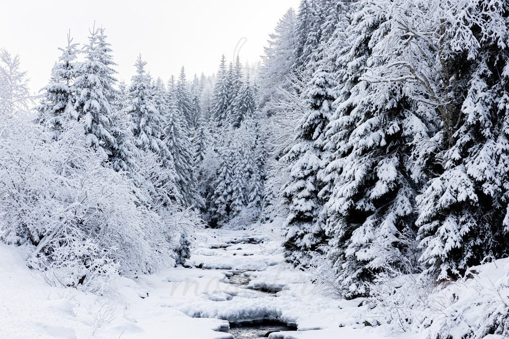 Der Bundschuhbach im Winterkleid | Ihre Fotografin im Lungau, ihre Fotografin im Mostviertel, Wandbilder Onlineshop, Imagefotos für Ihr Unternehmen,  - Realisiert mit Pictrs.com