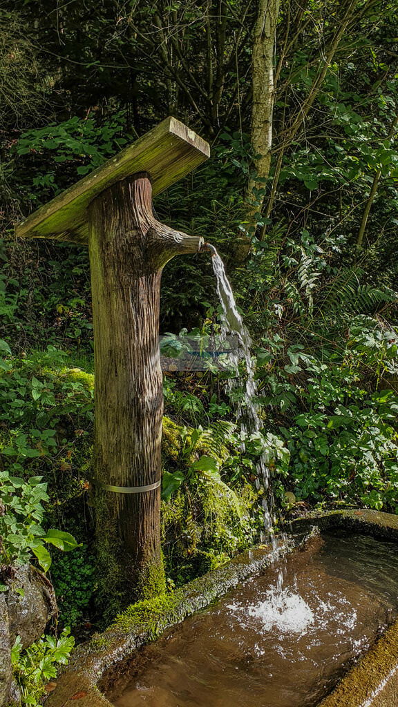 Höllental Sommer | Impressionen rund um Hochfranken - Frankenwald - Fichtelgebirge - Realisiert mit Pictrs.com
