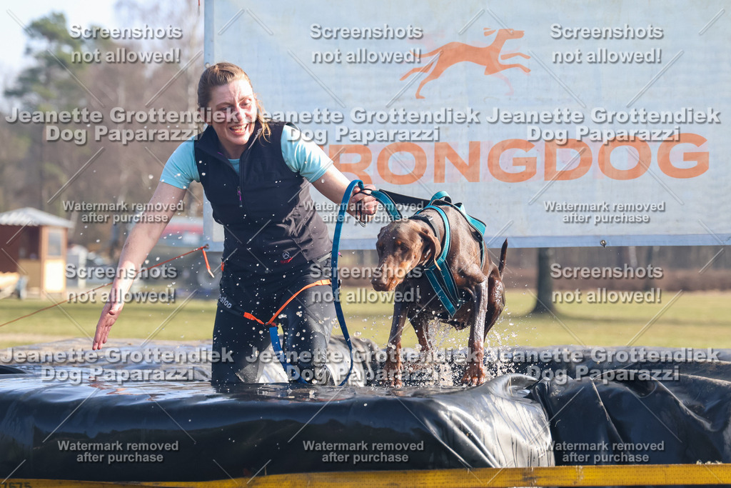Dog Paparazzi - Strongdog North Mrz26-836 | Dog Paparazzi Jeanette Grottendiek Fotografie & Videografie - Realisiert mit Pictrs.com