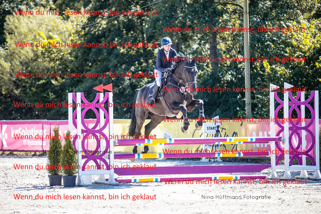 BK1A5582 | Turnierbilder Turnierfotos Nina Hüffmann Turnierfotografie Pferdefotografie Tierzeichnung Haustierzeichnung Pferdezeichnung Hundezeichnung Videograf  - Realisiert mit Pictrs.com
