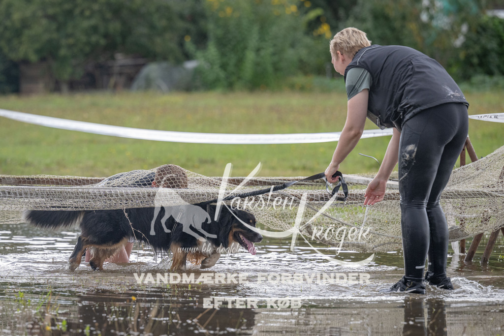 1436_ZZ90333 | kk-dogfotos
