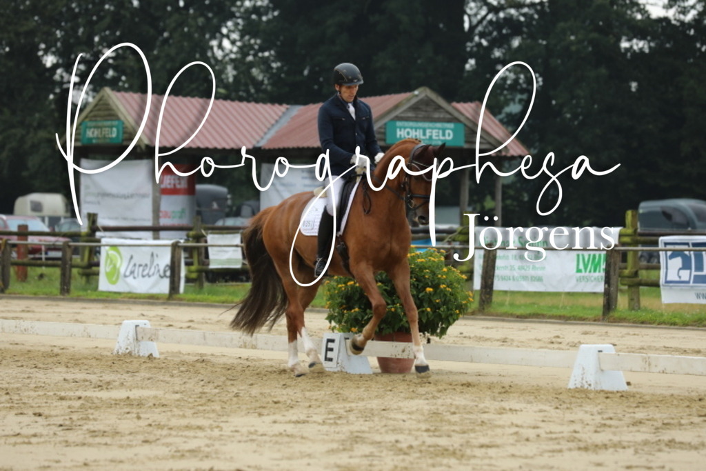 IMG_5399 | photographesa-joergens - Realisiert mit Pictrs.com