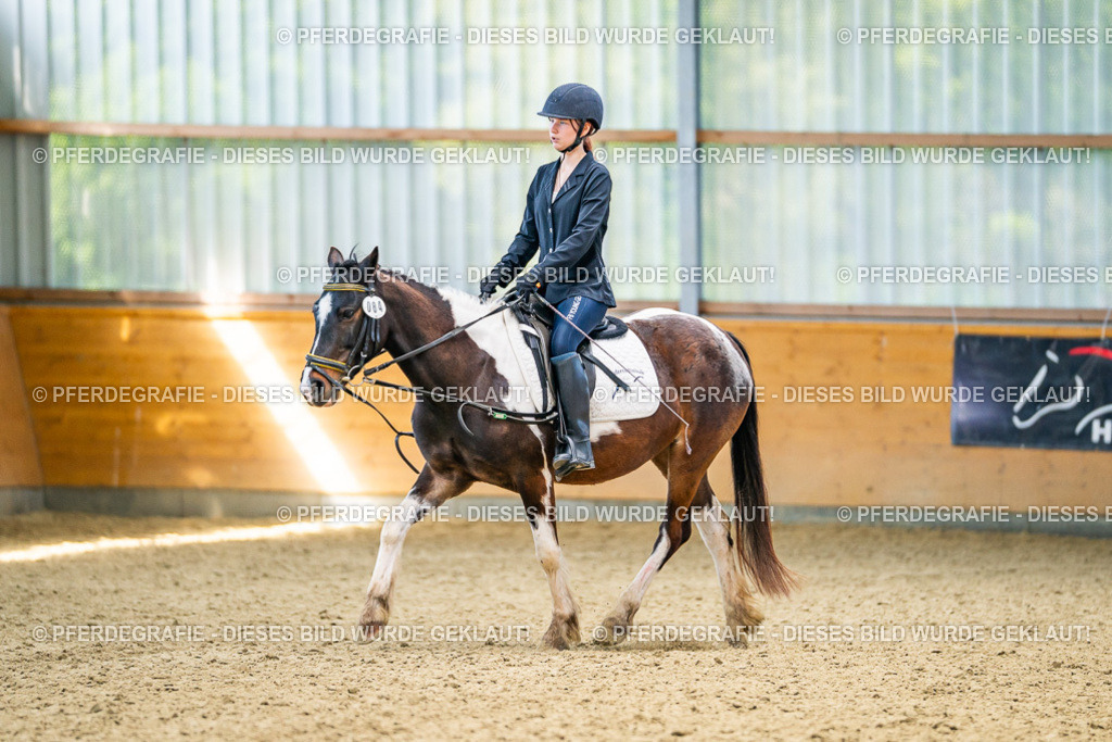 DSC03605 | Pferdegrafie