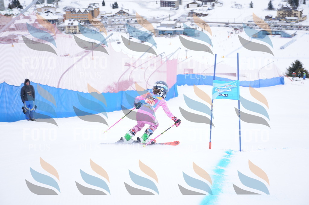 DSC_8209 | holidayphoto