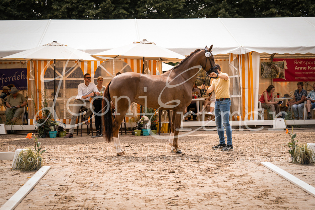 4.Fr00048 | Leoni Ertmer Photography - Realisiert mit Pictrs.com