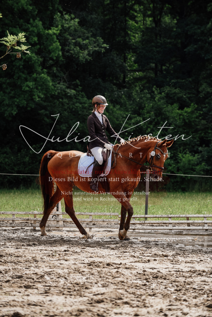 DSC_9652 | Pferde- und Turnierfotografie in Westsachsen. Pferdeportraits, Auftragszeichnungen und intuitive Kunst.
