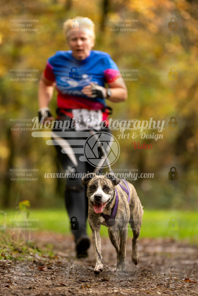 MompixPhotography_Bischwiller23_Canicross-143 | PayLife