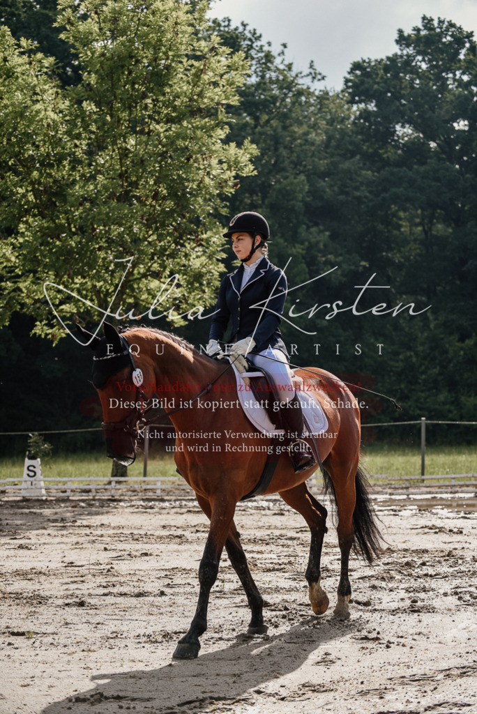 DSC_8447 | Pferde- und Turnierfotografie in Westsachsen. Pferdeportraits, Auftragszeichnungen und intuitive Kunst.