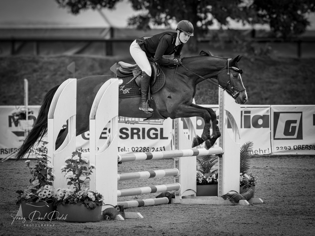2025-05-29_09_24_57__5291516-Bearbeitet-3 | Franz Podek