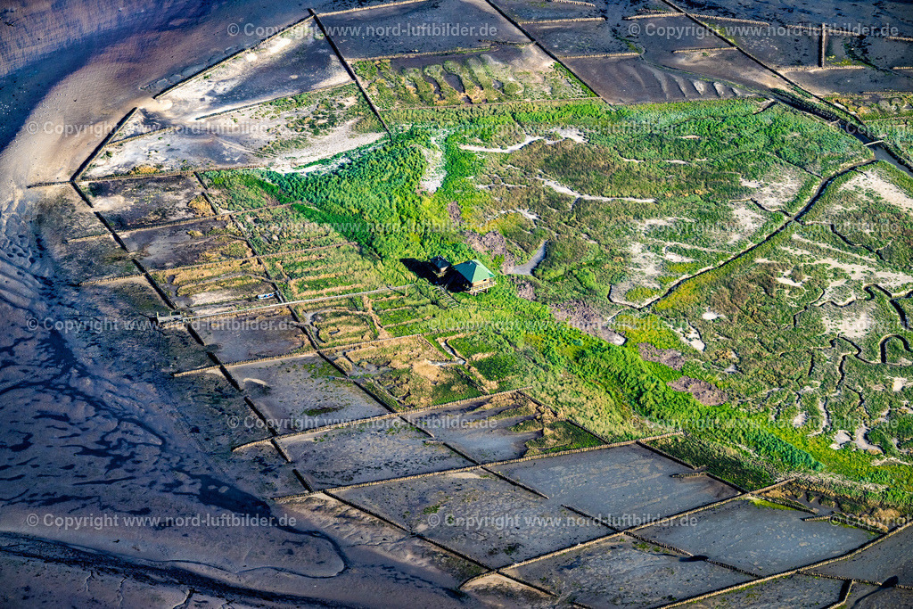 Norderoog_Hallig_ELS_8686300523 | NORDEROOG 30.05.2023 Küstenbereich und Naturschutzgebiet der Vogelfreistätte Hallig Norderoog im Bundesland Schleswig-Holstein, Deutschland. // Coastal area and nature reserve of the Hallig Norderoog bird sanctuary in the state Schleswig-Holstein, Germany. Foto: Martin Elsen