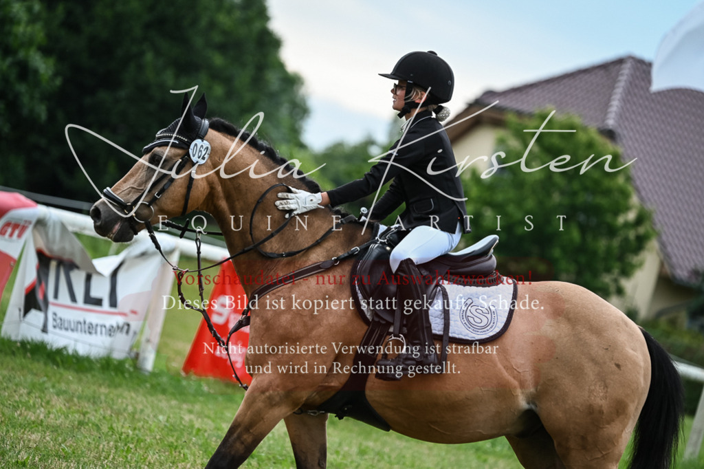 DSC_8593 | Pferde- und Turnierfotografie in Westsachsen. Pferdeportraits, Auftragszeichnungen und intuitive Kunst.