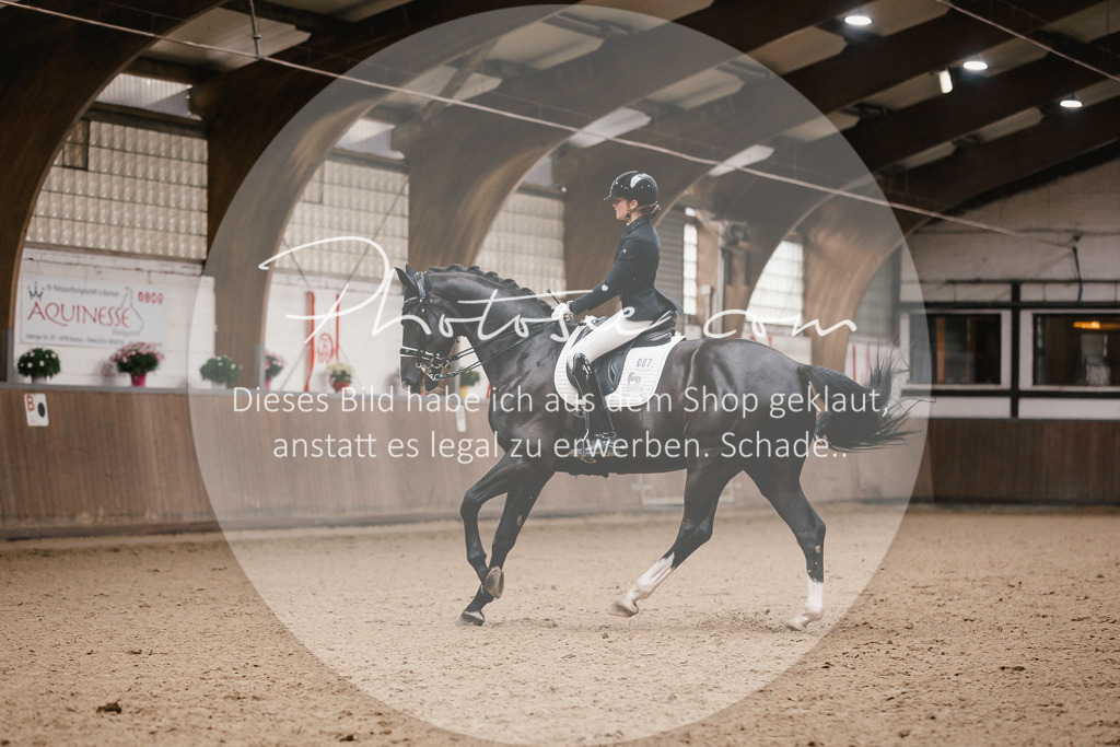 3I6A8839 | Stimmungsvolle Portraits und Reitsportfotografie im Ruhrgebiet und im Münsterland.

Pferdefotografie, Hundefotografie, Tierfotografie, Reportagen, Portraits von Tier und Mensch, Turnierfotografie in Bochum, Recklinghausen, Marl, Haltern am See, Dülmen.. - Realisiert mit Pictrs.com
