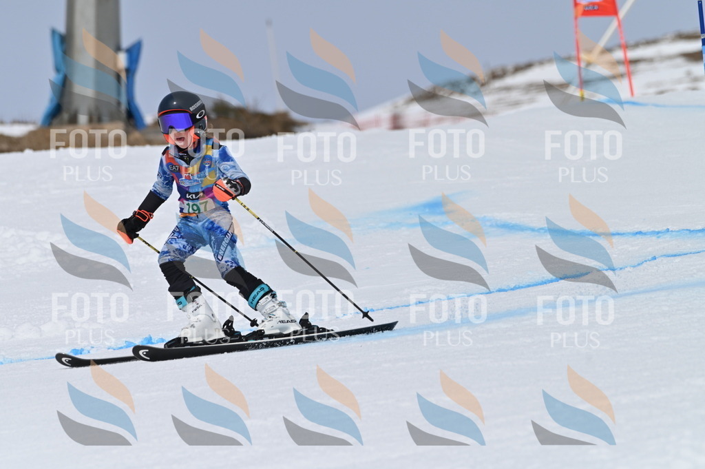 BGV_3791 | holidayphoto