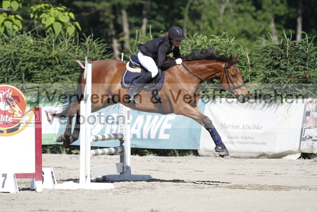 _MG_2382 | equestrian-live-com